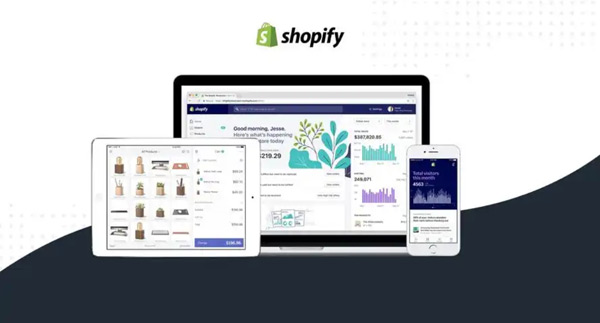 Shopify付費流量和免費流量的優缺點對比