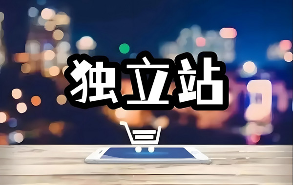獨立站訪客100算高嗎？獨立站訪客多少算可以？