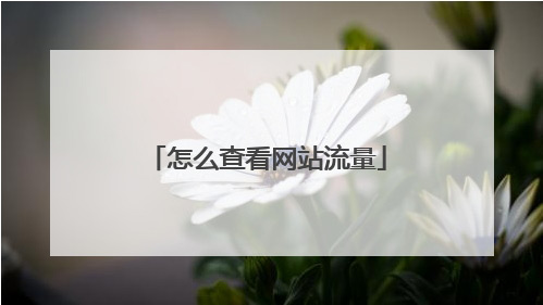 網站日均流量怎么看？網站日均訪問量查詢？